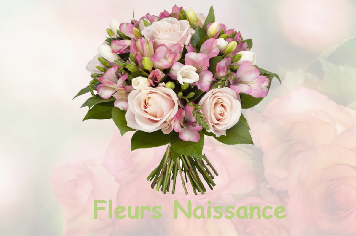 fleurs naissance MAREIL-SUR-LOIR